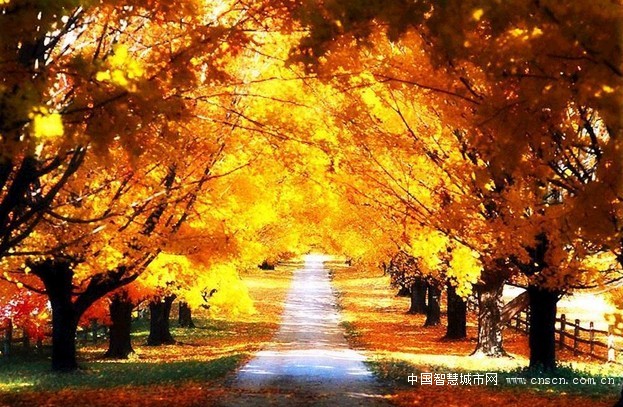 JB7LYSKHZ)}V2]~%0ENX6LJ