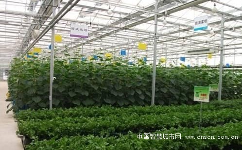 FWLFO1Q422}]1PT[~))0KH6