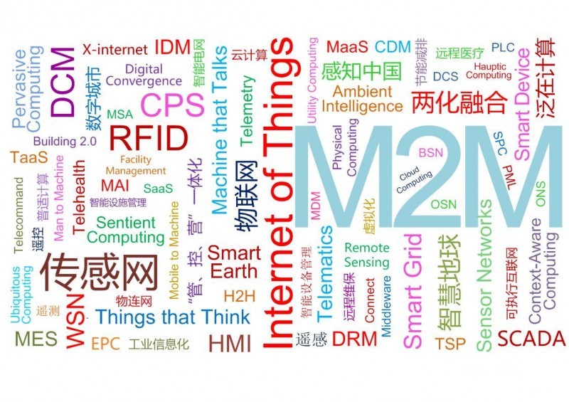 16300000952070130245115021153_副本