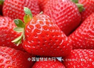 u=1389523210,1859302599&fm=21&gp=0