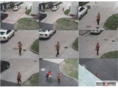 自动跟踪球机图1