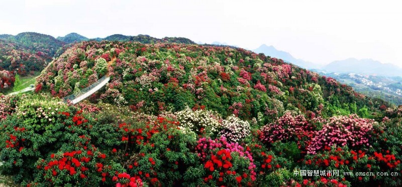 %CD%F2%BB%A8%C2%A5%B5%F5%C7%C52