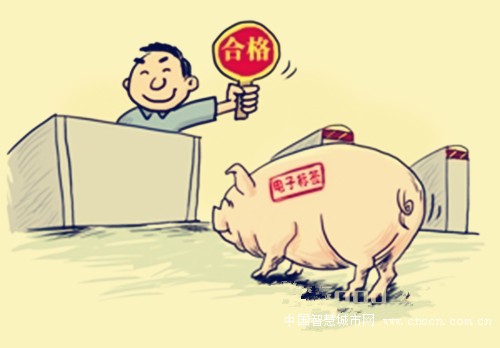 635496558753357218371_副本