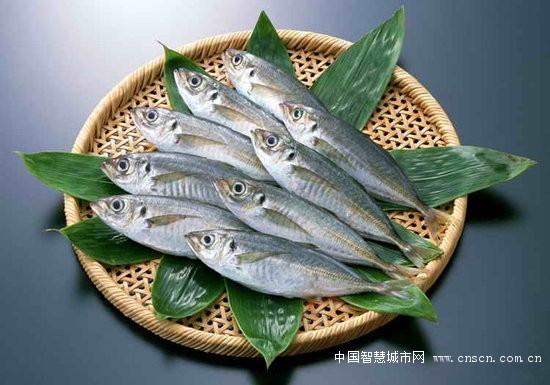 2640931910644052.700x700