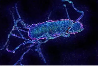 QQ图片20170112170714