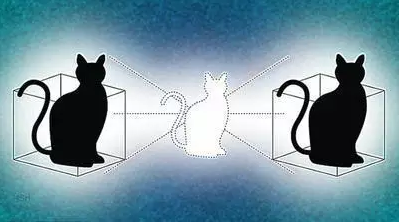 QQ图片20170112170908