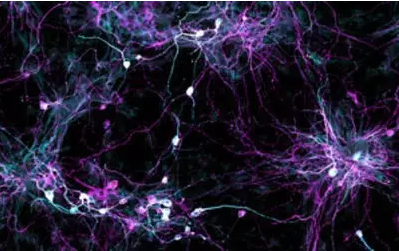 QQ图片20170112171013