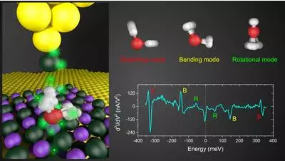 QQ图片20170112171938